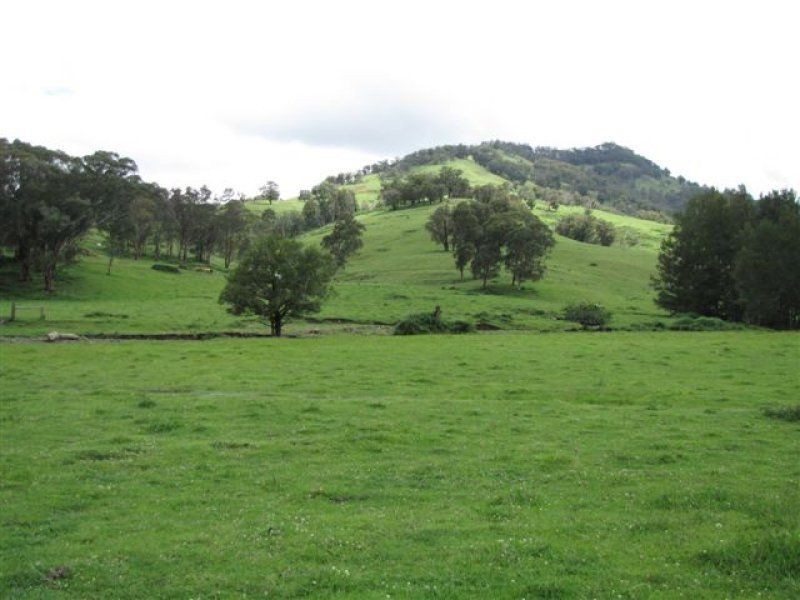 . ‘Brindabella Blue’, Nundle NSW 2340