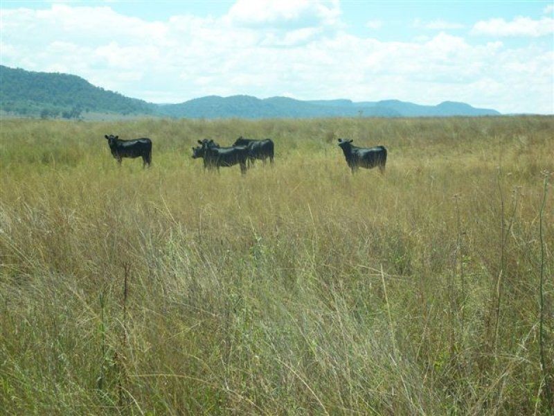 . ‘Elliven’, Sandy Hollow NSW 2333