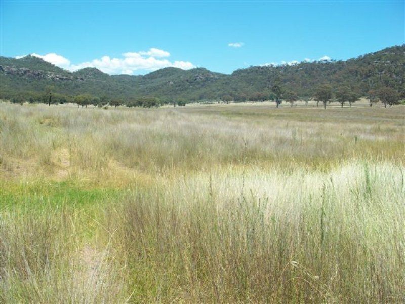 . ‘Elliven’, Sandy Hollow NSW 2333