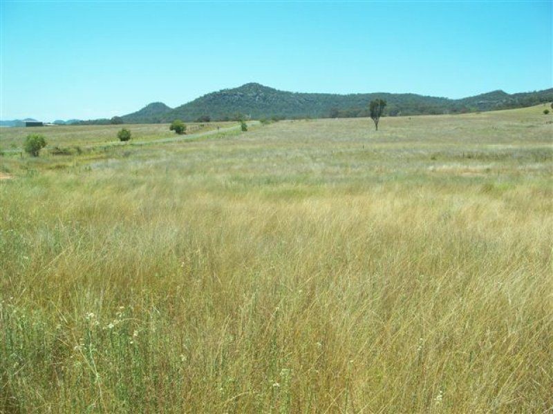 . ‘Elliven’, Sandy Hollow NSW 2333