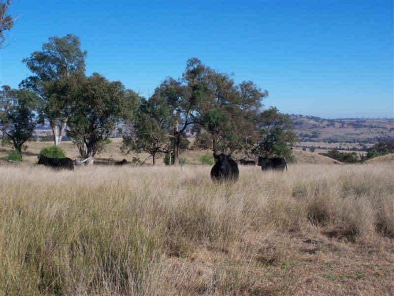 . ‘Woolbrook’, Merriwa NSW 2329