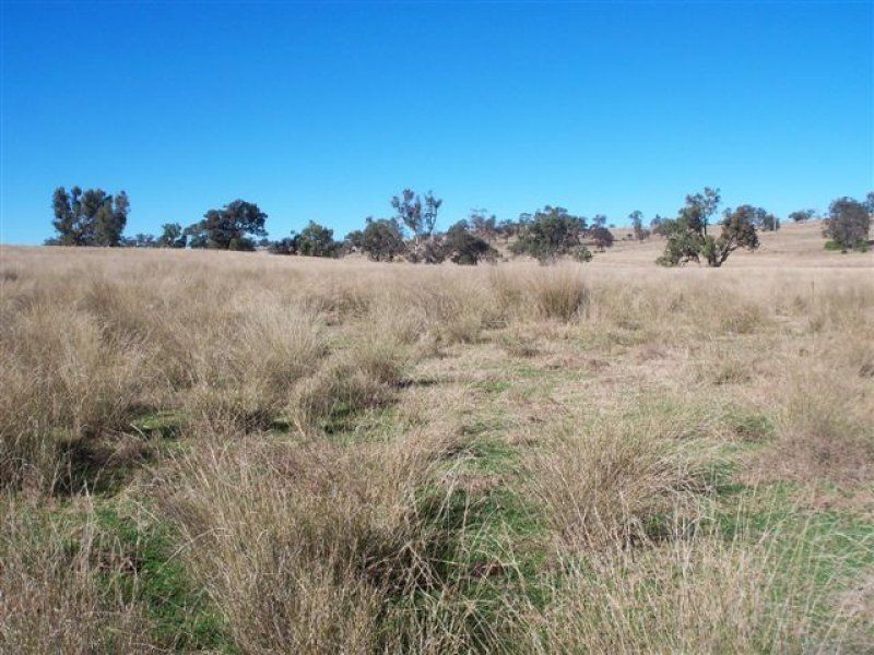 . ‘Woolbrook’, Merriwa NSW 2329