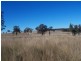 . ‘Woolbrook’, Merriwa NSW 2329