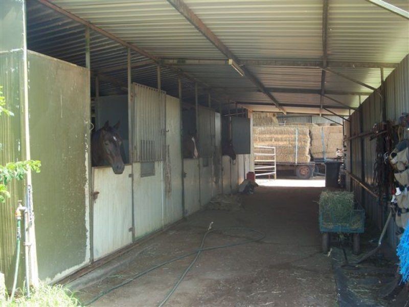 . ‘Sentinel’, Sandy Hollow NSW 2333