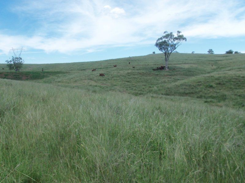 . ‘Rouchel Gap Road’, Aberdeen NSW 2336