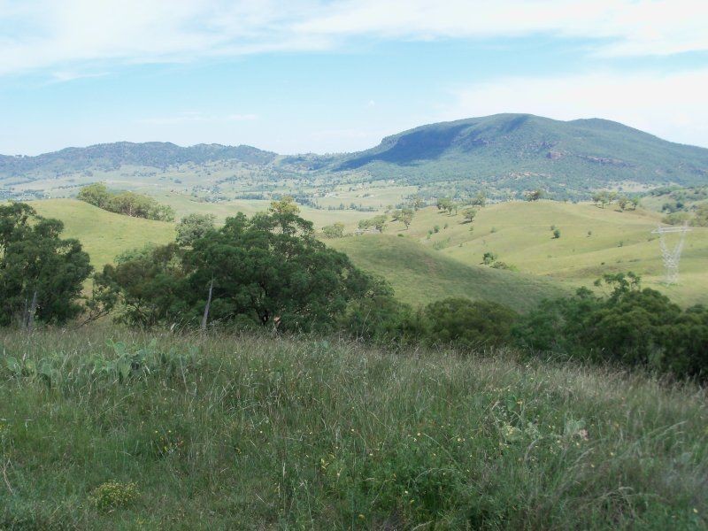 . ‘Rouchel Gap Road’, Aberdeen NSW 2336