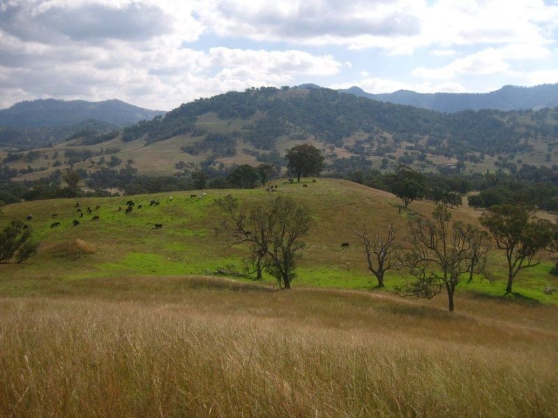 . ‘East Toombimba’, Scone NSW 2337