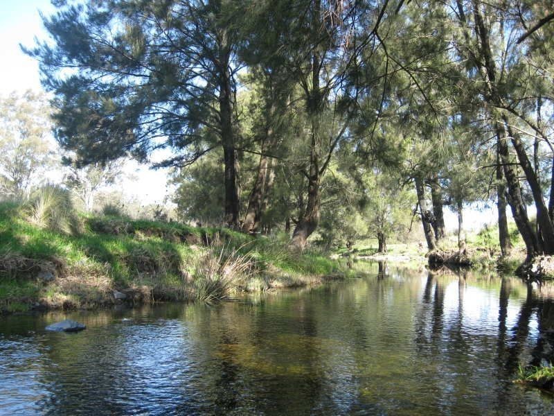 . ‘East Toombimba’, Scone NSW 2337