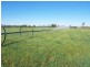 . ‘Elgin’, Muswellbrook NSW 2333