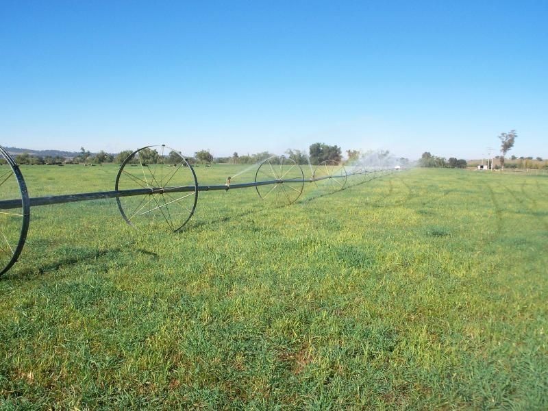 . ‘Elgin’, Muswellbrook NSW 2333