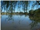 . ‘Elgin’, Muswellbrook NSW 2333