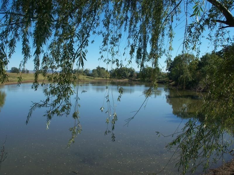 . ‘Elgin’, Muswellbrook NSW 2333