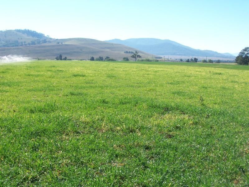 . ‘Elgin’, Muswellbrook NSW 2333