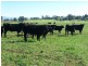 . ‘Elgin’, Muswellbrook NSW 2333