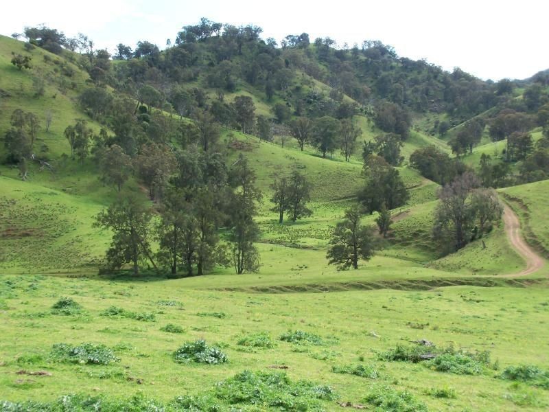 . ‘Kenalea’ Rouchel Via, Aberdeen NSW 2336