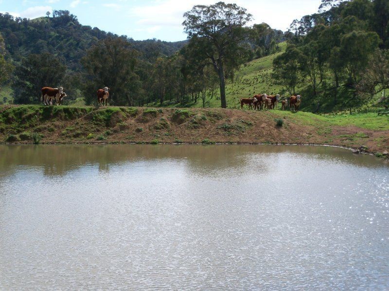 . ‘Kenalea’ Rouchel Via, Aberdeen NSW 2336