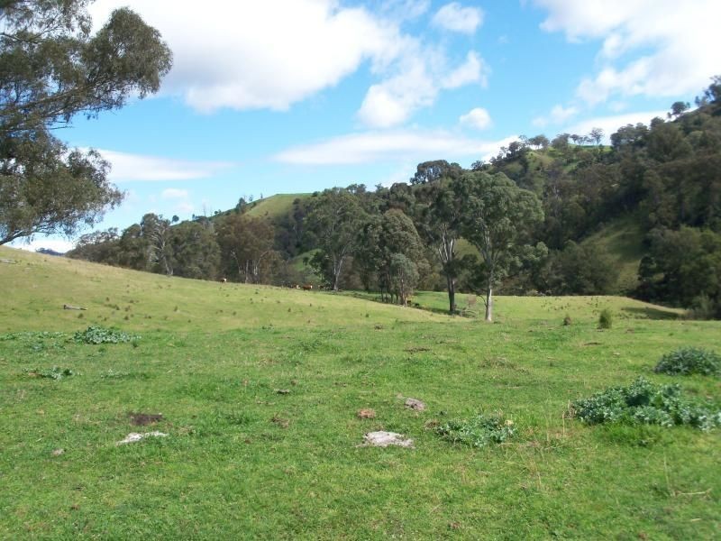 . ‘Kenalea’ Rouchel Via, Aberdeen NSW 2336