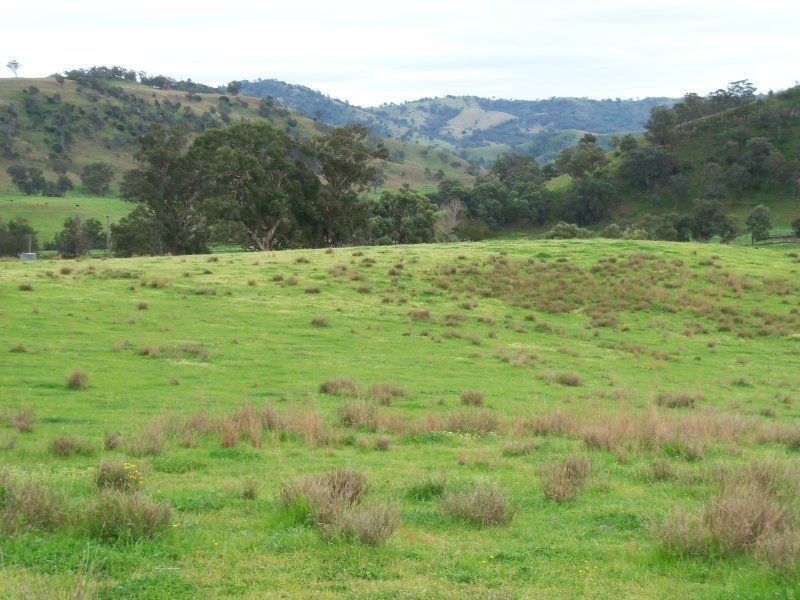 . ‘Kenalea’ Rouchel Via, Aberdeen NSW 2336