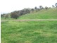 . ‘Kenalea’ Rouchel Via, Aberdeen NSW 2336