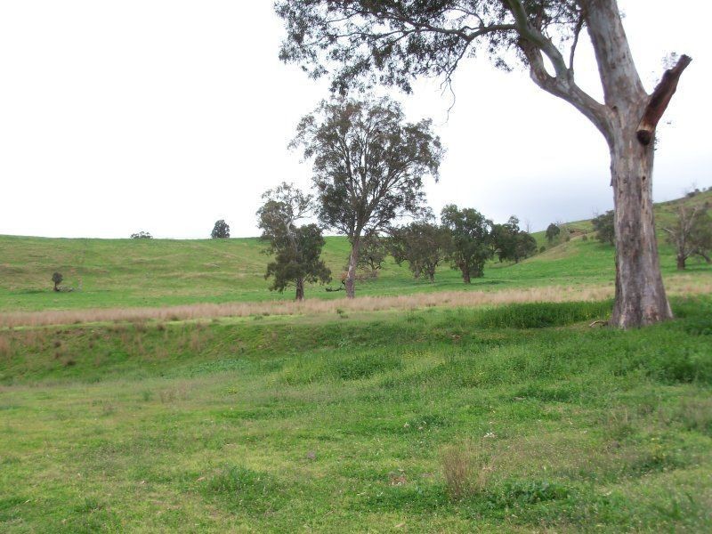 . ‘Kenalea’ Rouchel Via, Aberdeen NSW 2336