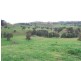 . ‘Kenalea’ Rouchel Via, Aberdeen NSW 2336