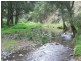 . ‘Kenalea’ Rouchel Via, Aberdeen NSW 2336