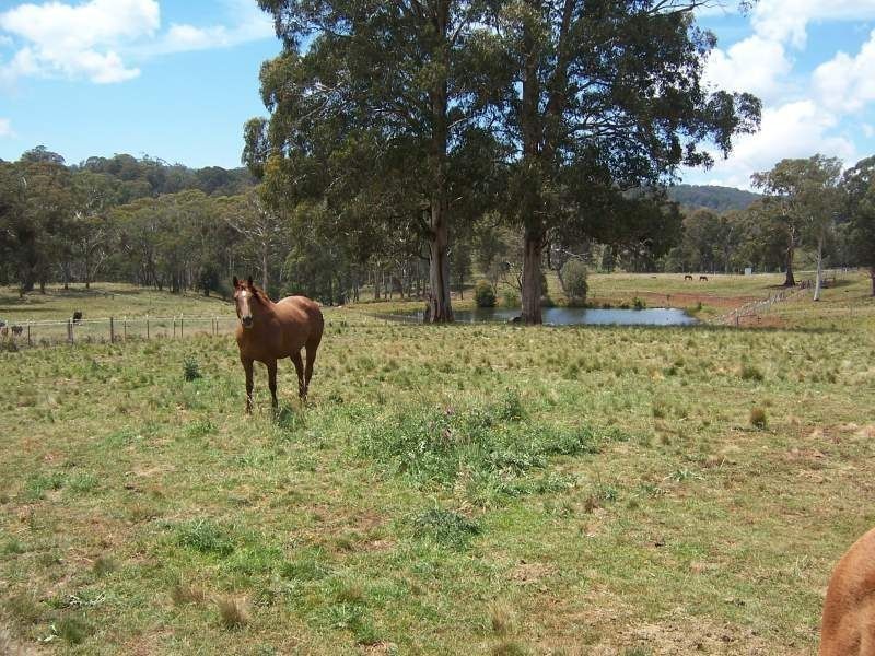 . ‘Hunter Springs’ Tomalla Via, Scone NSW 2337