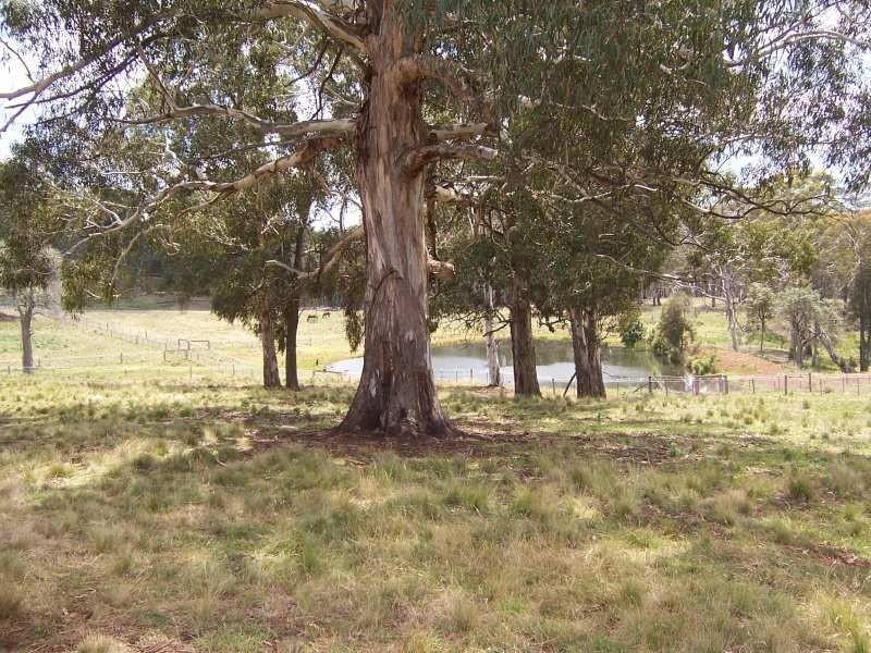 . ‘Hunter Springs’ Tomalla Via, Scone NSW 2337