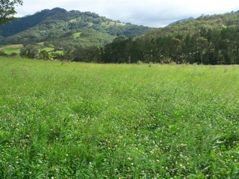 . ‘Willis Park’, Scone NSW 2337