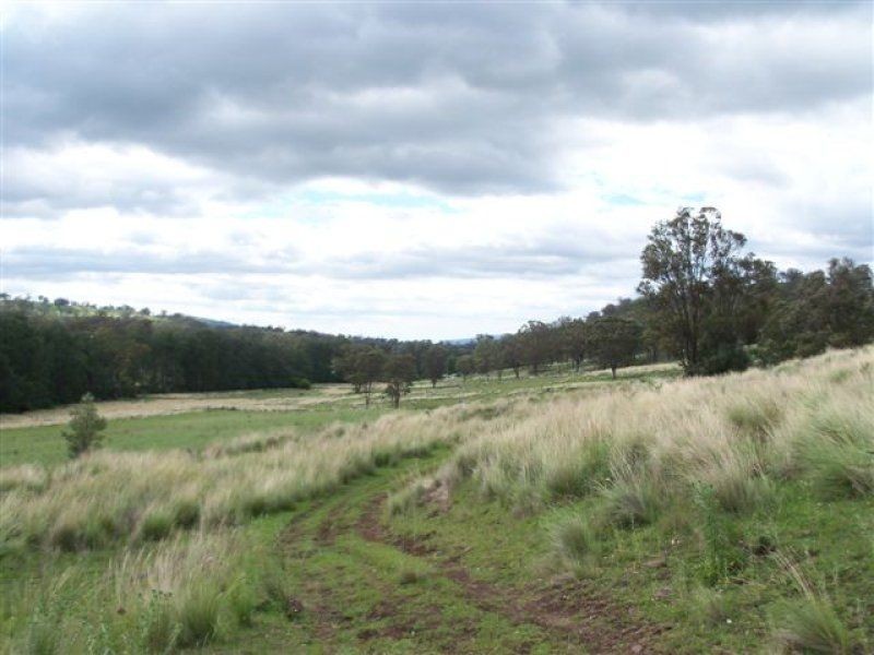 . ‘Willis Park’, Scone NSW 2337