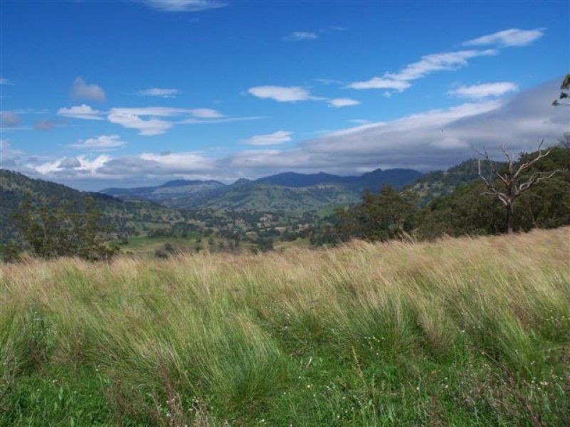 . ‘Willis Park’, Scone NSW 2337