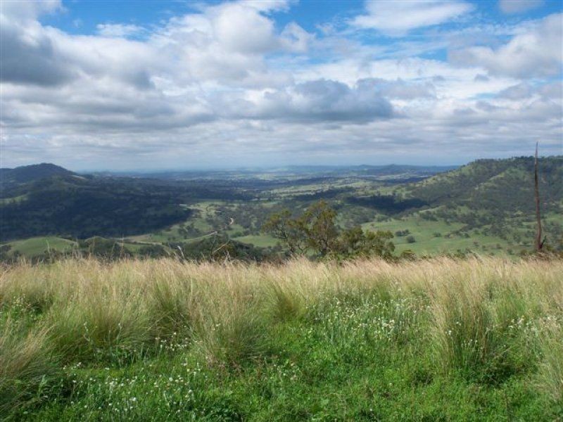 . ‘Willis Park’, Scone NSW 2337