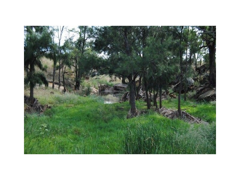 111 Cullingral Road, Merriwa NSW 2329