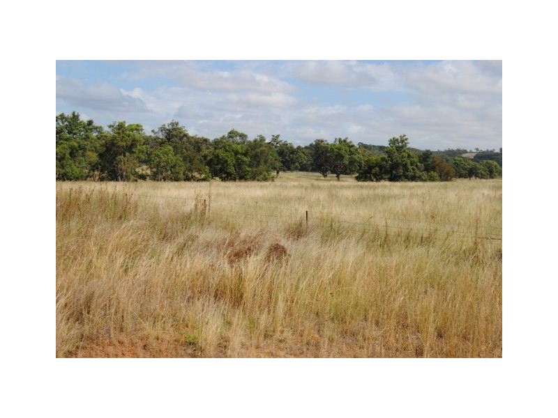 111 Cullingral Road, Merriwa NSW 2329