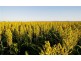 . ‘Longacres’, Gunnedah NSW 2380