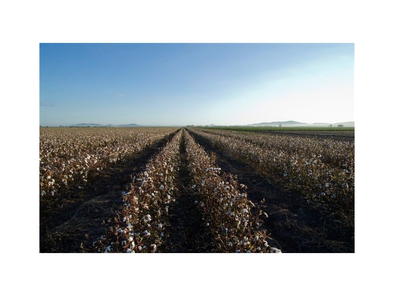 . ‘Longacres’, Gunnedah NSW 2380