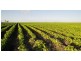 . ‘Longacres’, Gunnedah NSW 2380