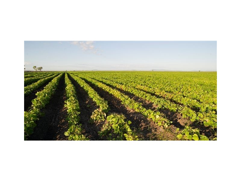 . ‘Longacres’, Gunnedah NSW 2380
