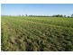 . ‘Longacres’, Gunnedah NSW 2380