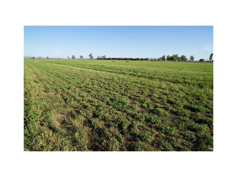 . ‘Longacres’, Gunnedah NSW 2380