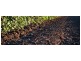 . ‘Longacres’, Gunnedah NSW 2380