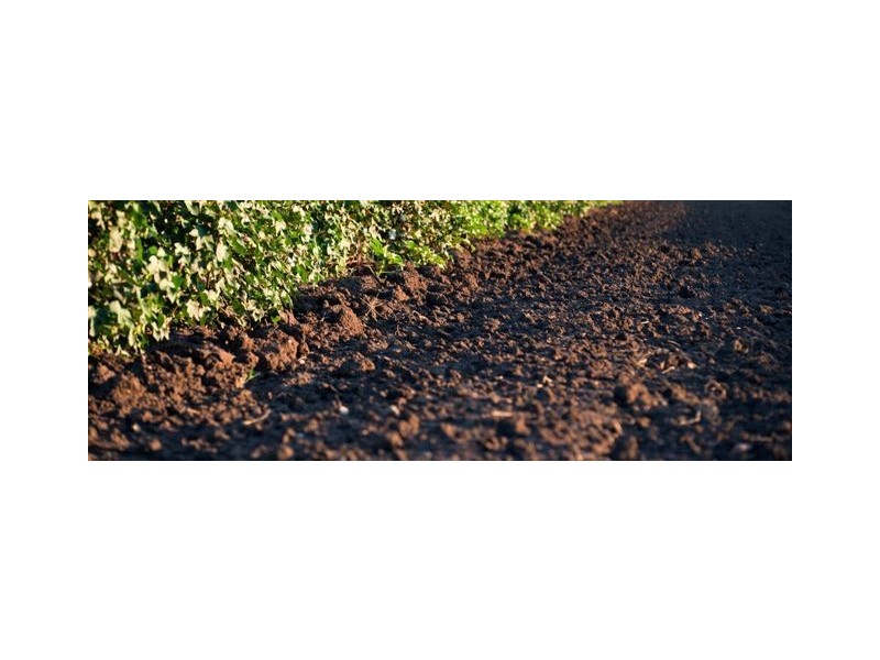 . ‘Longacres’, Gunnedah NSW 2380