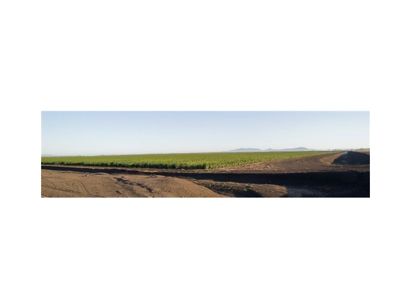 . ‘Longacres’, Gunnedah NSW 2380