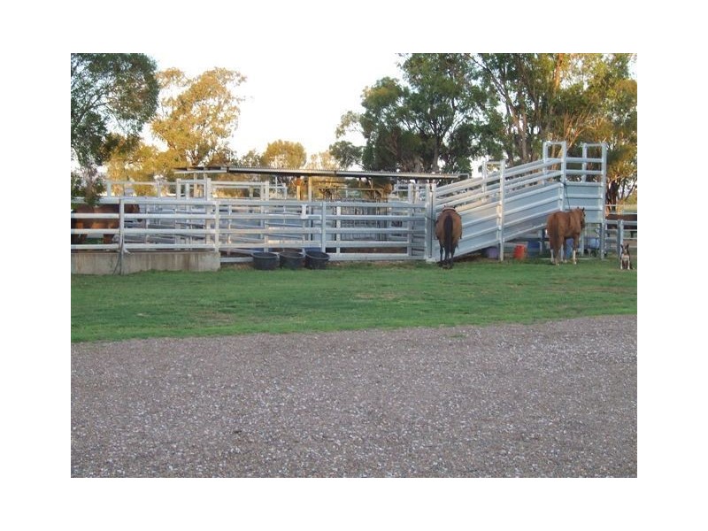 . ‘Fingal’, Gunnedah NSW 2380