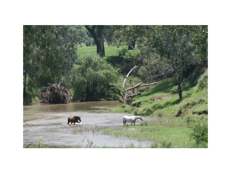 . ‘Fingal’, Gunnedah NSW 2380