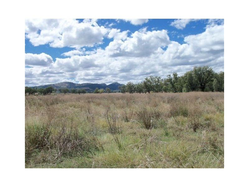 . ‘Brewongle’, Tamworth NSW 2340