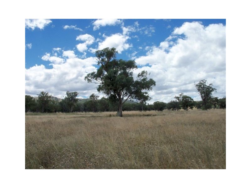 . ‘Brewongle’, Tamworth NSW 2340