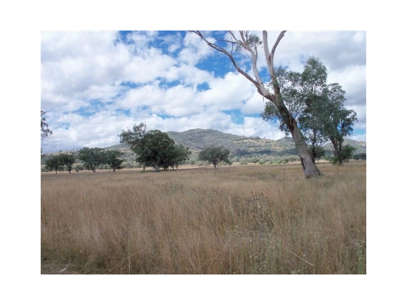 . ‘Brewongle’, Tamworth NSW 2340