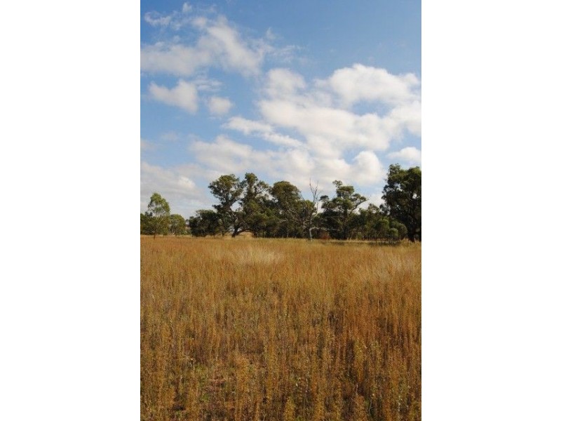 111 Cullingral Road, Merriwa NSW 2329