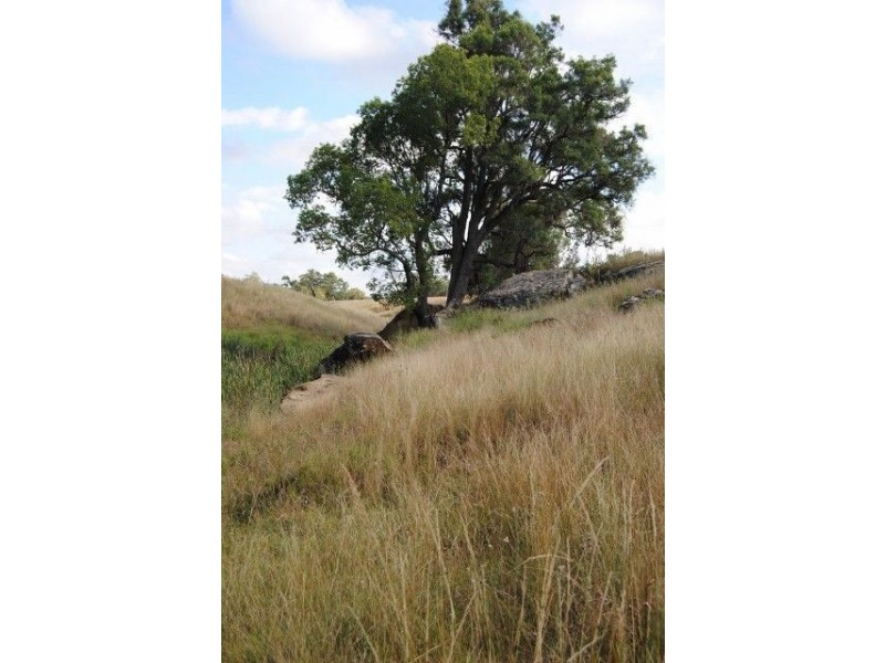 111 Cullingral Road, Merriwa NSW 2329